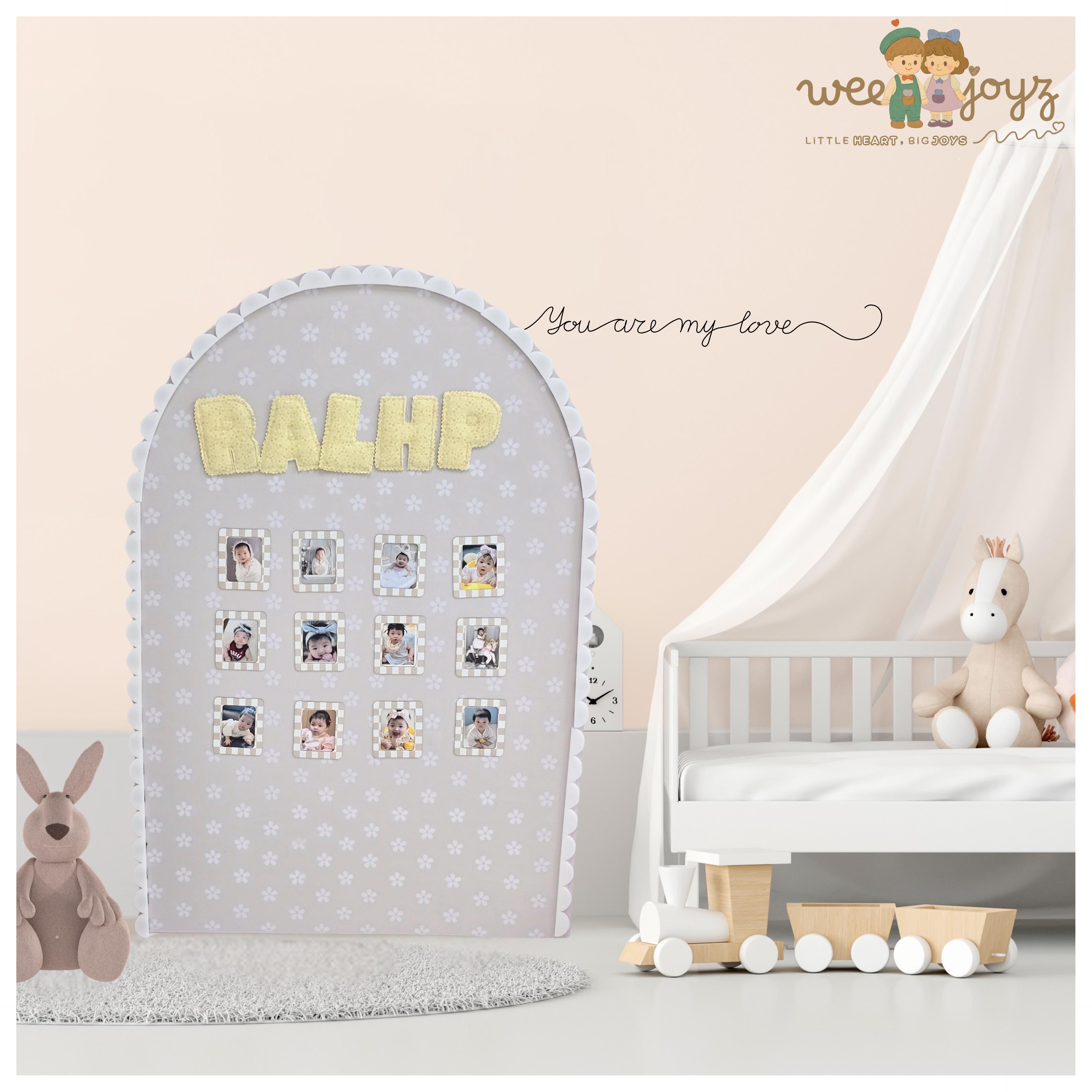 A SET OF YOUR BABY'S MILESTONE (INCLUDE PHOTOS) [WEEJOYZ]
