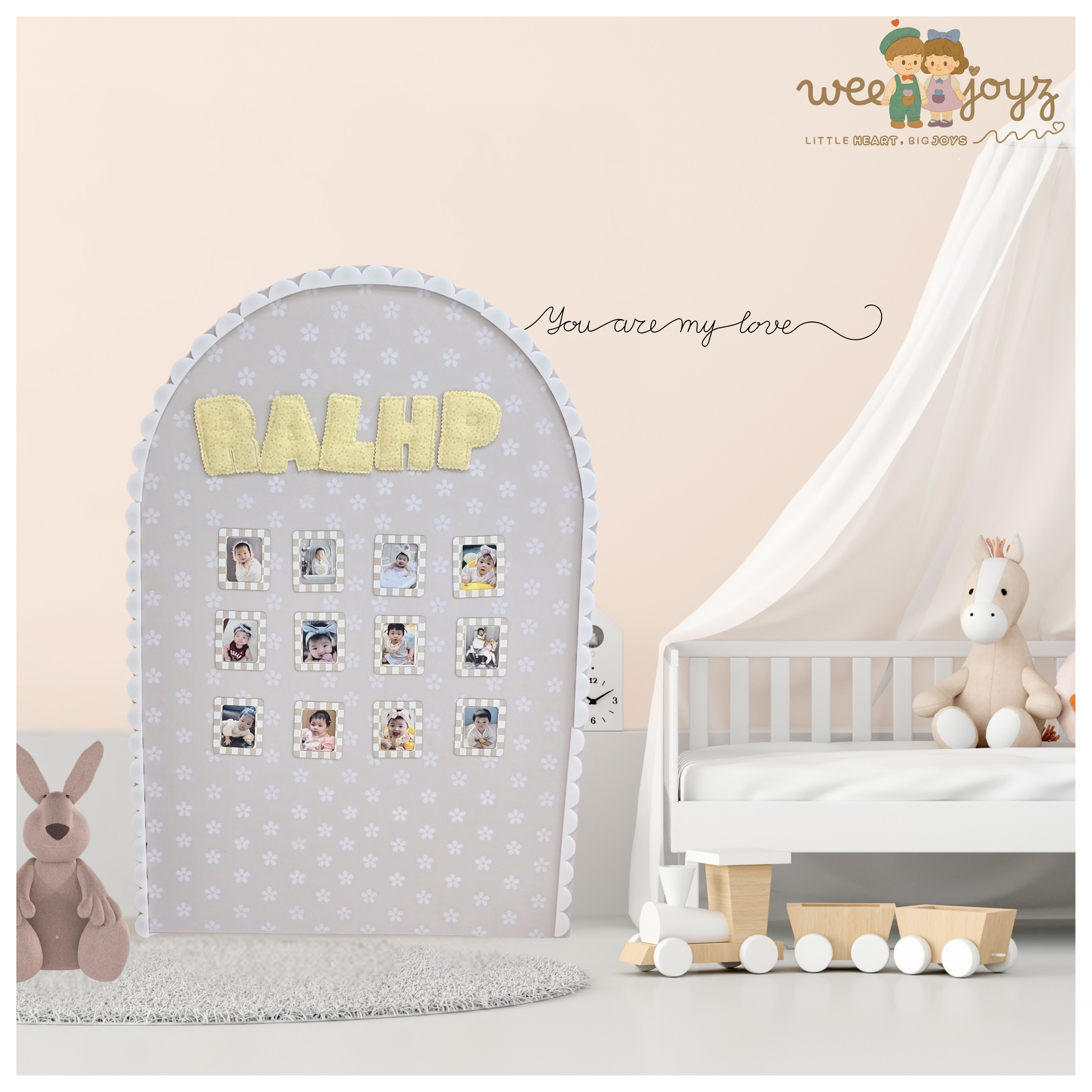 A SET OF YOUR BABY'S MILESTONE (INCLUDE PHOTOS) [WEEJOYZ]